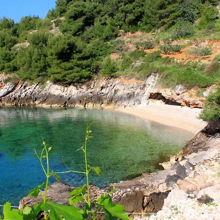 Family Friendly Seaside Cove Rapak, Hvar - 12779