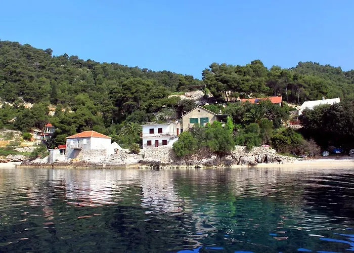 Family Friendly Seaside Cove Rapak, Hvar - 12779 דירה